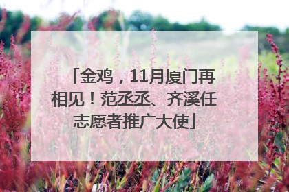 金鸡，11月厦门再相见！范丞丞、齐溪任志愿者推广大使