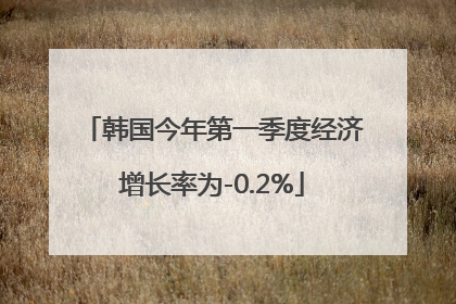 韩国今年第一季度经济增长率为-0.2%