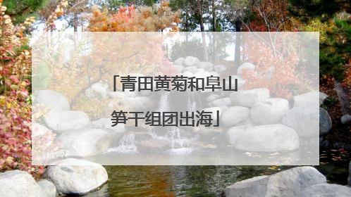 青田黄菊和阜山笋干组团出海