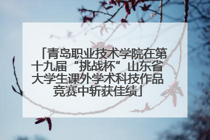 青岛职业技术学院在第十九届“挑战杯”山东省大学生课外学术科技作品竞赛中斩获佳绩