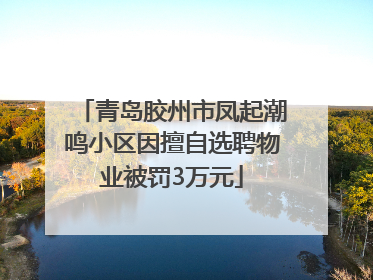 青岛胶州市凤起潮鸣小区因擅自选聘物业被罚3万元