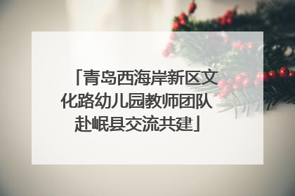 青岛西海岸新区文化路幼儿园教师团队赴岷县交流共建