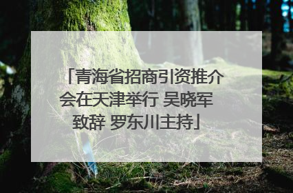 青海省招商引资推介会在天津举行 吴晓军致辞 罗东川主持