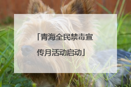 青海全民禁毒宣传月活动启动