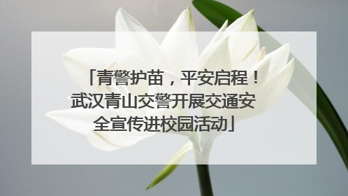 青警护苗，平安启程！武汉青山交警开展交通安全宣传进校园活动