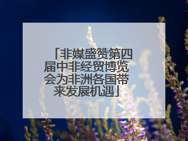 非媒盛赞第四届中非经贸博览会为非洲各国带来发展机遇