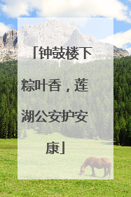 钟鼓楼下粽叶香，莲湖公安护安康