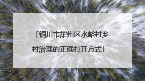 铜川市耀州区水峪村乡村治理的正确打开方式