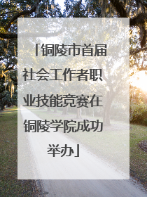 铜陵市首届社会工作者职业技能竞赛在铜陵学院成功举办