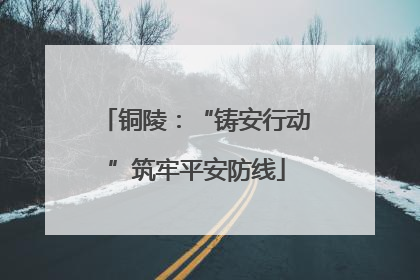 铜陵：“铸安行动”筑牢平安防线