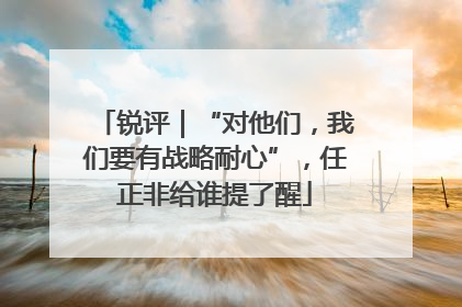 锐评｜“对他们，我们要有战略耐心”，任正非给谁提了醒