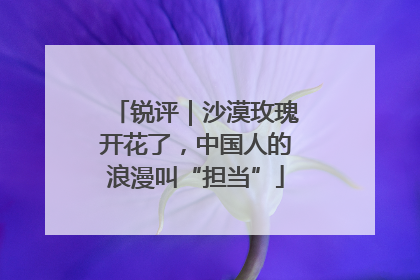 锐评｜沙漠玫瑰开花了，中国人的浪漫叫“担当”