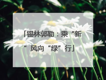 锡林郭勒：乘“新”风向“绿”行