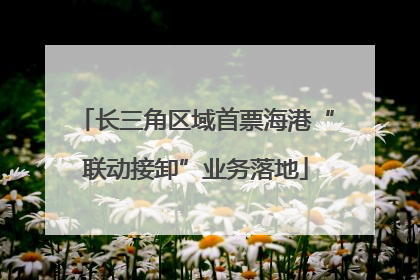 长三角区域首票海港“联动接卸”业务落地