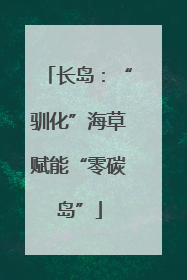 长岛：“驯化”海草赋能“零碳岛”