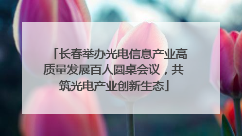 长春举办光电信息产业高质量发展百人圆桌会议，共筑光电产业创新生态