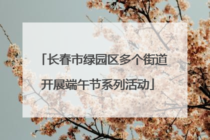 长春市绿园区多个街道开展端午节系列活动