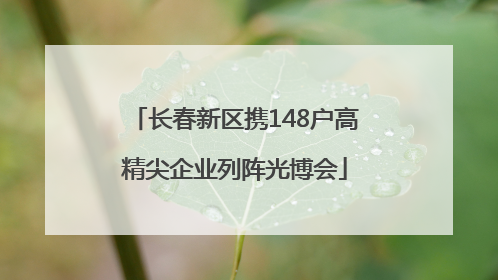 长春新区携148户高精尖企业列阵光博会