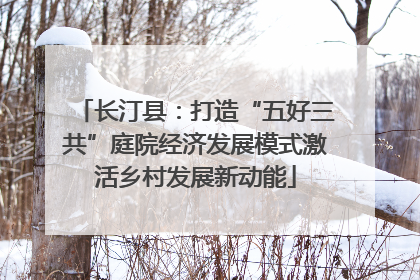 长汀县：打造“五好三共”庭院经济发展模式激活乡村发展新动能