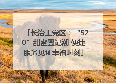 长治上党区：“520”甜蜜登记潮 便捷服务见证幸福时刻