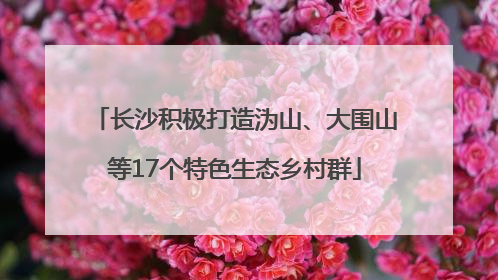 长沙积极打造沩山、大围山等17个特色生态乡村群