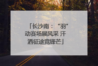 长沙南：“羽”动赛场展风采 汗洒征途竞锋芒