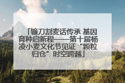 镰刀割麦话传承 基因育种启新程——第十届杨凌小麦文化节见证“颗粒归仓”时空跨越
