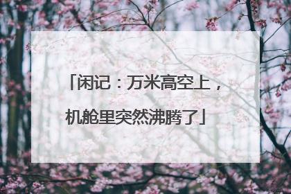 闲记：万米高空上，机舱里突然沸腾了