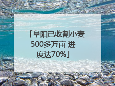 阜阳已收割小麦500多万亩 进度达70%