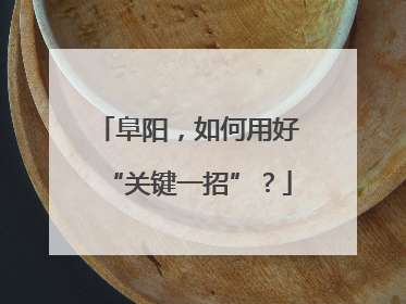 阜阳，如何用好“关键一招”？