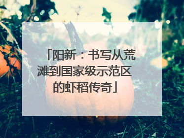 阳新：书写从荒滩到国家级示范区的虾稻传奇