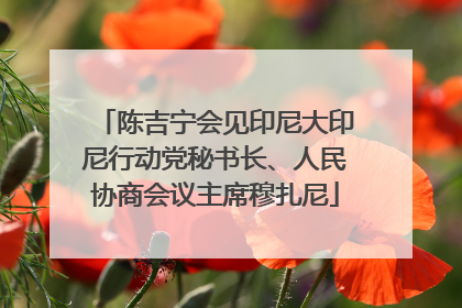 陈吉宁会见印尼大印尼行动党秘书长、人民协商会议主席穆扎尼