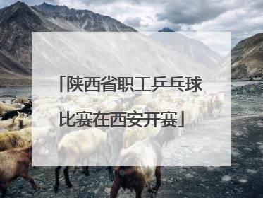 陕西省职工乒乓球比赛在西安开赛