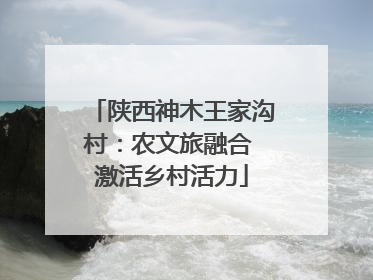 陕西神木王家沟村：农文旅融合 激活乡村活力
