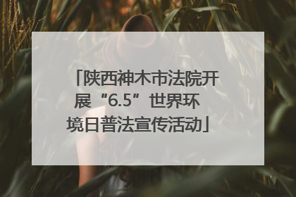 陕西神木市法院开展“6.5”世界环境日普法宣传活动