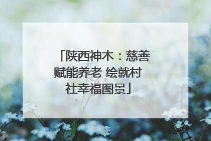 陕西神木：慈善赋能养老 绘就村社幸福图景