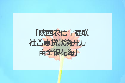 陕西农信宁强联社普惠贷款浇开万亩金银花海