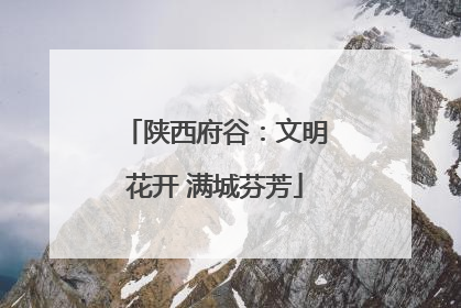 陕西府谷：文明花开 满城芬芳