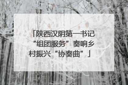 陕西汉阴第一书记“组团服务”奏响乡村振兴“协奏曲”