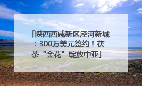 陕西西咸新区泾河新城：300万美元签约！茯茶“金花”绽放中亚