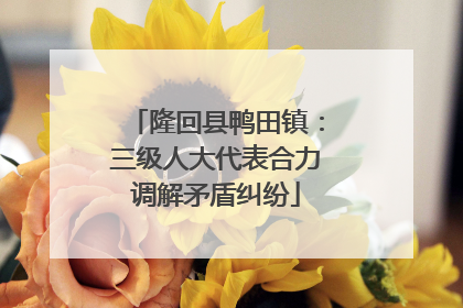 隆回县鸭田镇：三级人大代表合力调解矛盾纠纷