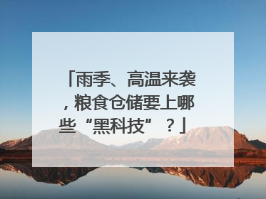 雨季、高温来袭，粮食仓储要上哪些“黑科技”？