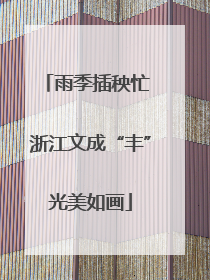 雨季插秧忙 浙江文成“丰”光美如画