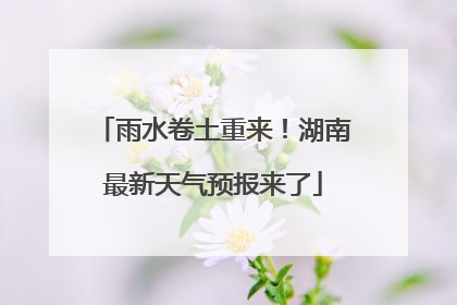 雨水卷土重来！湖南最新天气预报来了