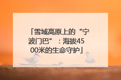 雪域高原上的“宁波门巴”：海拔4500米的生命守护