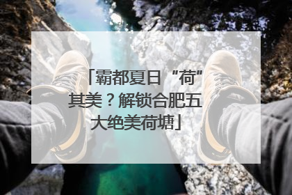 霸都夏日“荷”其美？解锁合肥五大绝美荷塘
