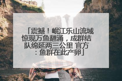 震撼！岷江乐山流域惊现万鱼翻涌，成群结队绵延两三公里 官方：鱼群在此产卵