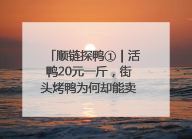 顺链探鸭①｜活鸭20元一斤，街头烤鸭为何却能卖到20多元一只