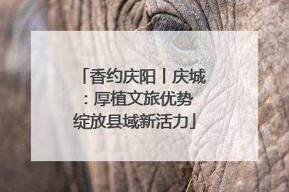 香约庆阳丨庆城：厚植文旅优势 绽放县域新活力