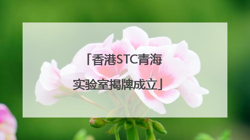 香港STC青海实验室揭牌成立